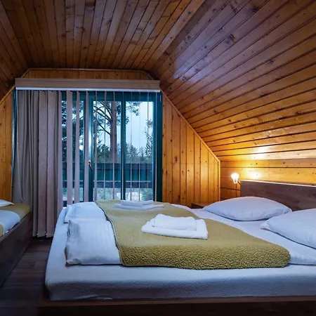 Pri Potoku 山林小屋 *